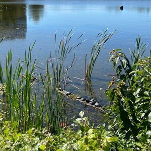 Meet your Posher, Nina